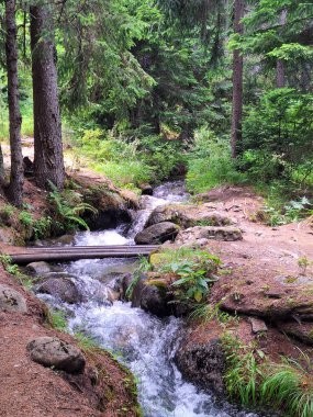 Bulgaristan 'ın Bansko kentindeki dağlarda küçük bir şelale