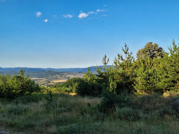 Bulgaristan 'ın Bansko kentindeki dağlarda ağaçlarla çevrili manzara