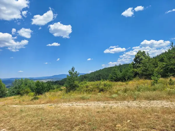 Dağlarda ağaçlarla ve Bulgaristan 'ın Bansko kentinde blu gökyüzüyle manzara