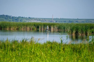 Ivachiv Horishnii, Ternopil, Ukrayna 'daki gölde balıkçı tekneleri