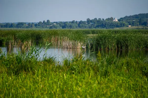 Ivachiv Horishnii 'deki göl manzarası, Ternopil, Ukrayna