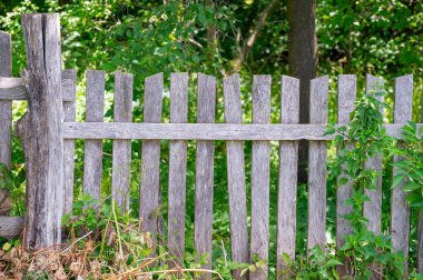 Eski ahşap çitler ve yeşil çimenler