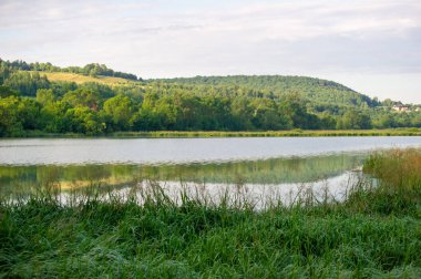 Gölün sularındaki ağaçların yansıması 
