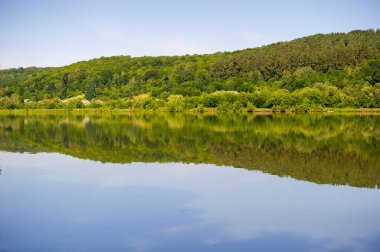 Ormandaki göl suyu yansıtıyordu.