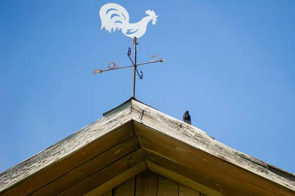 Siyah kızıl çatıda oturuyor ve rüzgar gülü çatıda horoz şeklinde.
