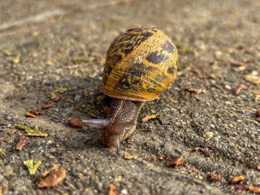 Bulgaristan 'da deniz üzerinde gün batımı suya yansıdı