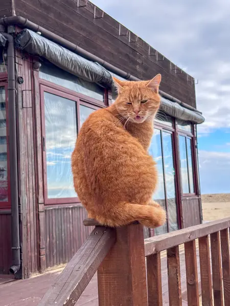 Bulgaristan 'da deniz üzerinde gün batımı suya yansıdı