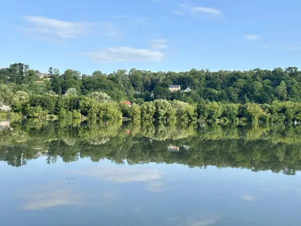 Göl manzarası, ağaçlar ve bulutlar Suya yansıyan, ukraine