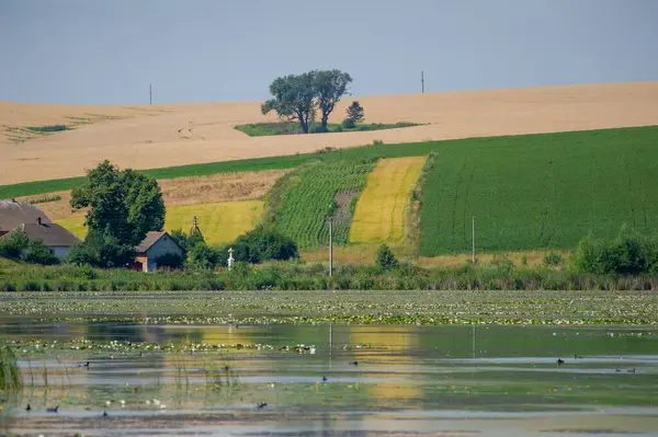  Önde zambak kaplı bir göl, ortada ağaçlar arasında yuva yapmış iki rahat ev ve ufuk boyunca uzanan yamalı alanlar..