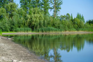 Sakin bir göl, yoğun yeşil ağaçları ve ön planda çamurlu bir kıyı şeridiyle çevrili açık mavi gökyüzünü yansıtır..