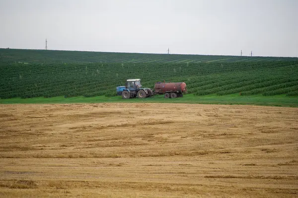 Bir traktör, uzak elektrik hatlarının altındaki eğimli bir tepede hasat edilmiş toprak ve ekin sıralarıyla çevrili yeşil bir arazide bir tank römorkunu çekiyor..