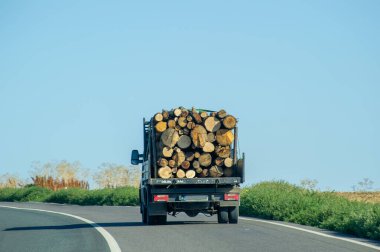Kesilmiş kereste sürücüleriyle dolu bir tomruk kamyonu, yeşil alanlarla çevrili dolambaçlı bir yol boyunca ilerliyor..