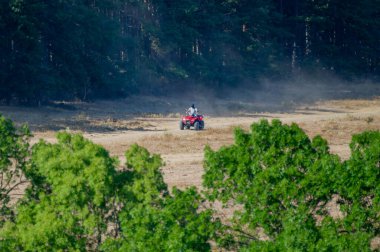 Bir insan, Bugaria 'daki dağlarda sık ağaçlar ve yeşil yapraklarla çevrili tozlu bir orman patikasında kırmızı bir ATV sürüyor.