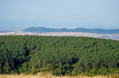 Uzak tepelere doğru uzanan yemyeşil bir orman ve şehir silueti doğayı kentsel yaşamla harmanlıyor..