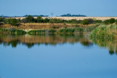  Sakin bir gölet, açık bir gökyüzü altında altın tarlaları ve yemyeşil alanları yansıtır. Doğayı insan varlığının ince işaretleriyle harmanlar..
