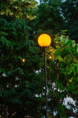 Alacakaranlıkta yemyeşil yemyeşil bir sokak lambası parlıyor, sakin bahçeye sıcak bir ışık saçıyor..