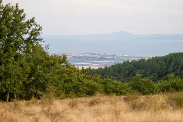 Kuru otlaklar, sık ormanlar ve uzak tepeler tarafından çerçevelenmiş kıyı kenti ile şehir yaşamına karışan geniş bir doğa manzarası..