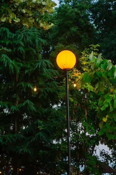 Alacakaranlıkta yemyeşil yemyeşil bir sokak lambası parlıyor, sakin bahçeye sıcak bir ışık saçıyor..