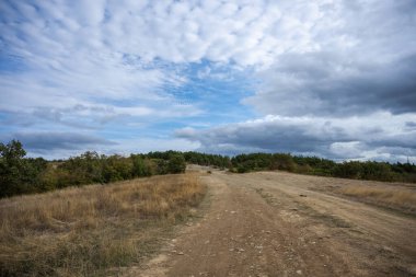 Sert, geniş bir toprak yol ayrımı kuru, çimenli bir yamaçtan yukarı dramatik, bulutlu bir gökyüzünün altındaki yoğun yeşil ağaçlara doğru ilerliyor..