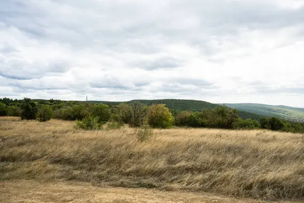 Uçsuz bucaksız, bulutlu bir gökyüzünün altında kuru, altın-kahverengi çimen ve yoğun ormanlık yeşil tepe manzarası..