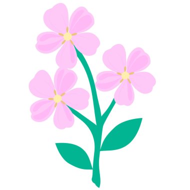 Dekoratif amaçlar için zarif bir çiçek aranjmanı.