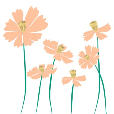 Dekoratif amaçlar için zarif bir çiçek aranjmanı.