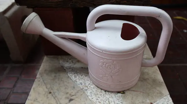 Ev bahçesindeki bitkiler için bir su bidonu.