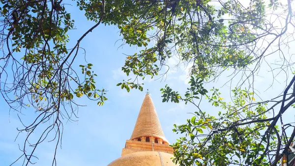 Mavi gökyüzüne karşı ağaç dalları arasında altın bir Budist tapınağı manzarası
