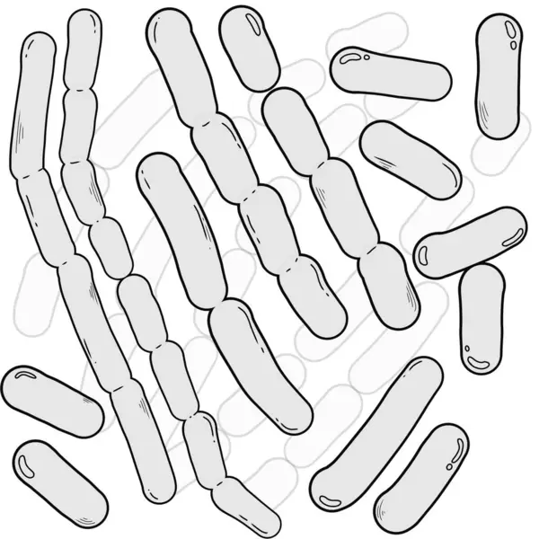 Bakteri Escherichia Coli 'nin siyah ve beyaz çizimi