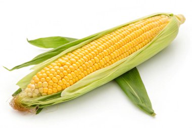 Beyaz arka planda izole edilmiş taze mısır