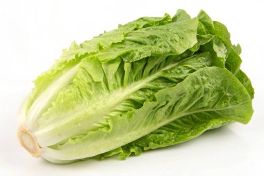 beyaz zemin üzerine yeşil salata