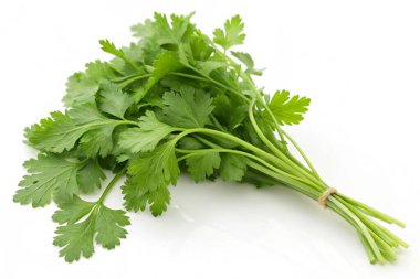 beyaz zemin üzerine taze kişniş