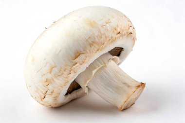 Mantar izole beyaz arkaplan