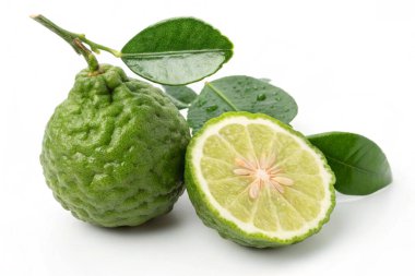 Beyaz arkaplanda yaprakları izole edilmiş bergamot