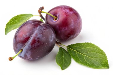 Beyaz arkaplanda izole edilmiş taze erikler