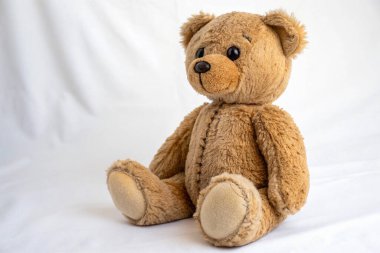 beyaz zemin üzerinde bir oyuncak ayı