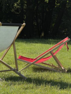 Parktaki güneşli yeşil çimlerde Boş Güverte Sandalyeleri