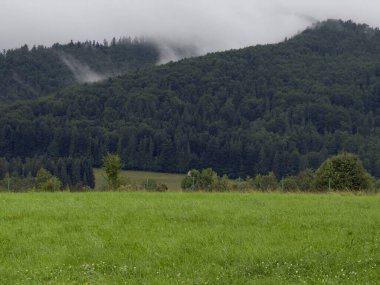Ormanlı Tepeler ve Yeşil Çayır Üzerindeki Sis
