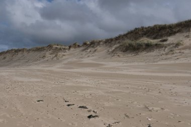 Fransız sahillerinde doğal çeşitlilik gözlemlendi, Cote d 'Opale. (Kuzey) Farklı ortamlar, bitki örtüsü, uçurumlar, kum tepeleri, kayalar, kum varyasyonları, ve daha fazlası.