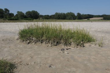 Fransız kıyılarında doğal çeşitlilik gözlemlendi, Bretagne. Ülkenin batısında. Farklı ayarlar, bitki örtüsü, uçurumlar, kayalar, kum varyasyonları ve daha fazlası.