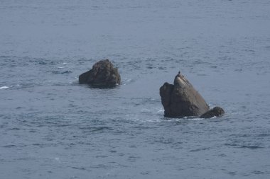 Kayalık peyzaj çeşitliliği açısından bir ada turu neler sunabilir. Bretagne (Fransa 'nın batısı); aşınmış kaya oluşumlarına odaklanma.