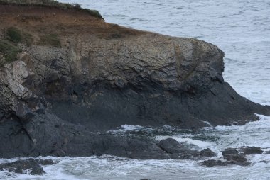 Fransız kıyılarında doğal çeşitlilik gözlemlendi, Bretagne (ülkenin batısında); aşınmış kaya oluşumlarına odaklandı.