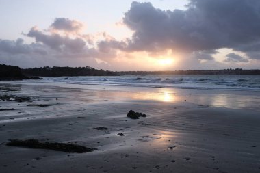 Fransız kıyılarında doğal çeşitlilik gözlemlenmiştir, Bretagne (Fransa 'nın batısında); çöl kıyılarına odaklanmıştır..