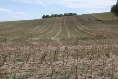 Çeşitli tarlalar, geniş topraklar ve vadiler. İlginç renkler, çizgiler ve dokularla. Fransa 'da vuruldu..