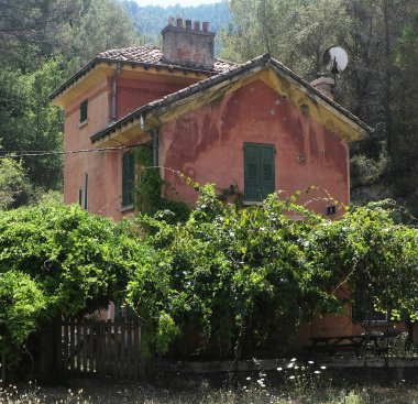 Eski köyleri ele geçiren bitkilerin çeşitliliği. Duvarlarda, merdivenlerde, borularda, girişlerde, farklı yapılarda, nehirlerde, yollarda ve daha fazlasında. Çoğunlukla yabani bitkilerde. Eski Fransız köylerinde vuruldu..