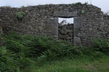 Eski köyleri ele geçiren bitkilerin çeşitliliği. Duvarlarda, merdivenlerde, borularda, girişlerde, farklı yapılarda, nehirlerde, yollarda ve daha fazlasında. Çoğunlukla yabani bitkilerde. Eski Fransız köylerinde vuruldu..