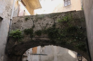 Eski köyleri ele geçiren bitkilerin çeşitliliği. Duvarlarda, merdivenlerde, borularda, girişlerde, farklı yapılarda, nehirlerde, yollarda ve daha fazlasında. Çoğunlukla yabani bitkilerde. Eski Fransız köylerinde vuruldu..