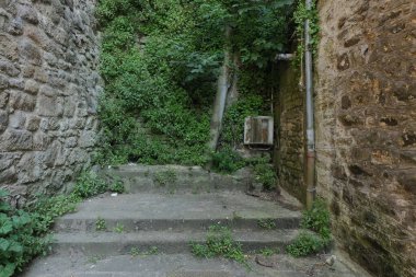 Eski köyleri ele geçiren bitkilerin çeşitliliği. Duvarlarda, merdivenlerde, borularda, girişlerde, farklı yapılarda, nehirlerde, yollarda ve daha fazlasında. Çoğunlukla yabani bitkilerde. Eski Fransız köylerinde vuruldu..