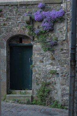 Eski köyleri ele geçiren bitkilerin çeşitliliği. Duvarlarda, merdivenlerde, borularda, girişlerde, farklı yapılarda, nehirlerde, yollarda ve daha fazlasında. Çoğunlukla yabani bitkilerde. Eski Fransız köylerinde vuruldu..