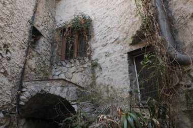 Eski köyleri ele geçiren bitkilerin çeşitliliği. Duvarlarda, merdivenlerde, borularda, girişlerde, farklı yapılarda, nehirlerde, yollarda ve daha fazlasında. Çoğunlukla yabani bitkilerde. Eski Fransız köylerinde vuruldu..